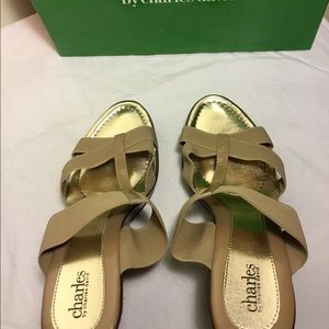 Charles David shoes size 10
